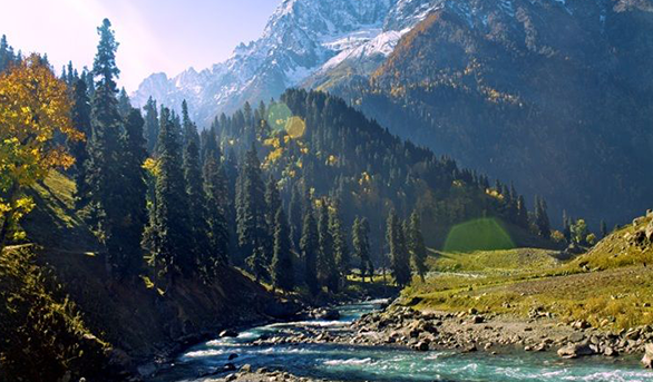 Opulent Honeymoon Escape in Kashmir